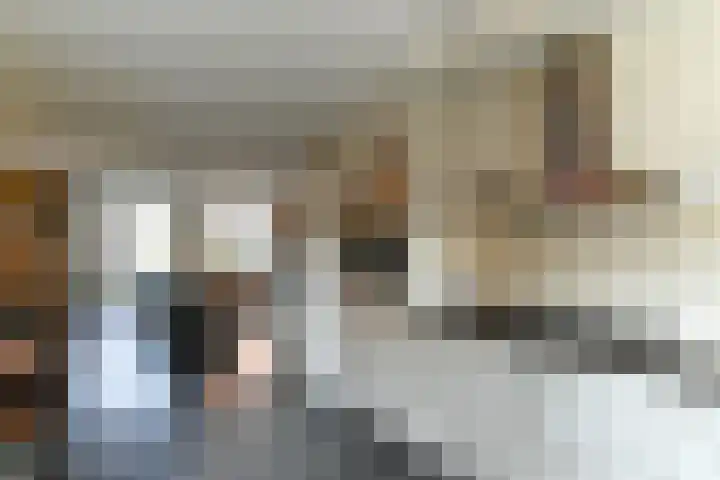 Rie Mastenbroekhof 10 Arnhem thumbnail 18