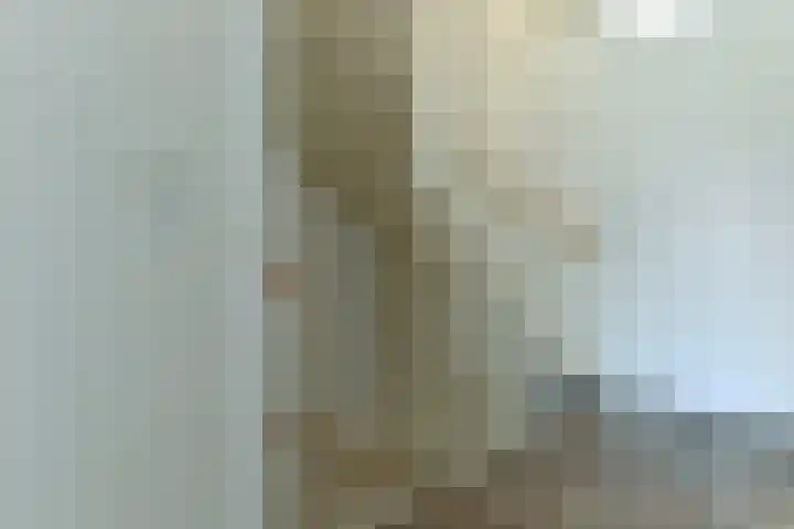 Rie Mastenbroekhof 10 Arnhem thumbnail 20