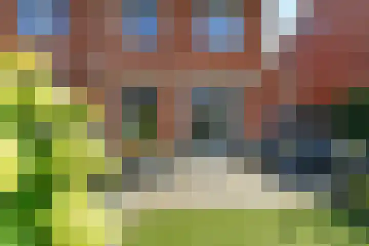 Rie Mastenbroekhof 10 Arnhem thumbnail 32