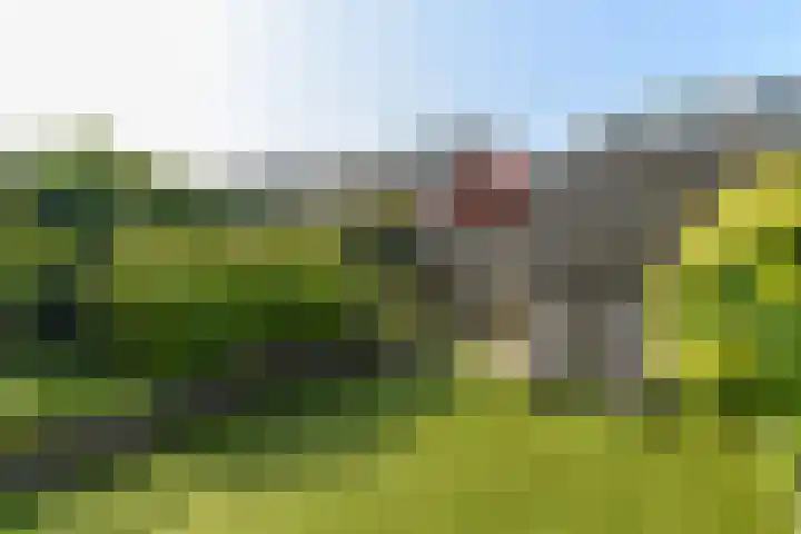 Rie Mastenbroekhof 10 Arnhem thumbnail 38
