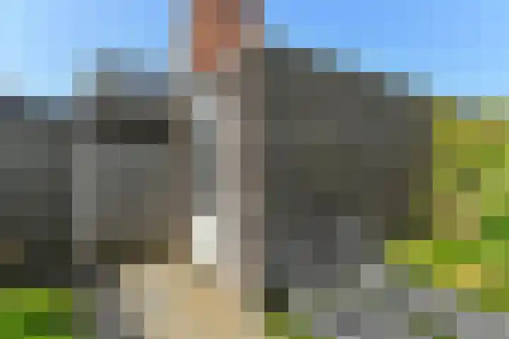Rie Mastenbroekhof 10 Arnhem thumbnail 39