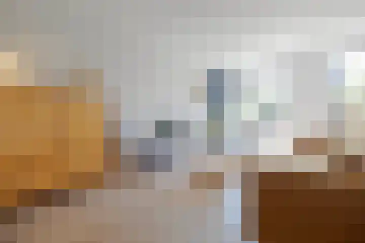 Rie Mastenbroekhof 12 Arnhem thumbnail 11