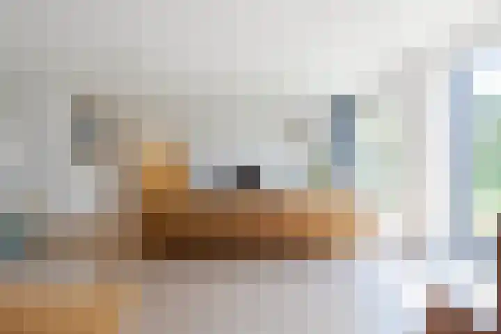 Rie Mastenbroekhof 12 Arnhem thumbnail 13
