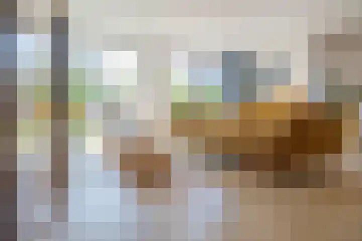 Rie Mastenbroekhof 12 Arnhem thumbnail 14