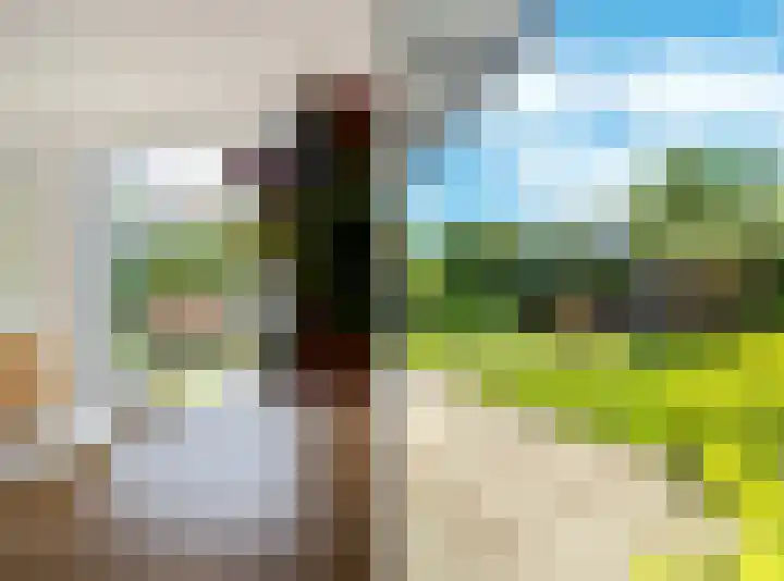 Rie Mastenbroekhof 12 Arnhem thumbnail 15