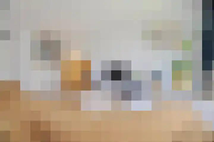 Rie Mastenbroekhof 12 Arnhem thumbnail 16