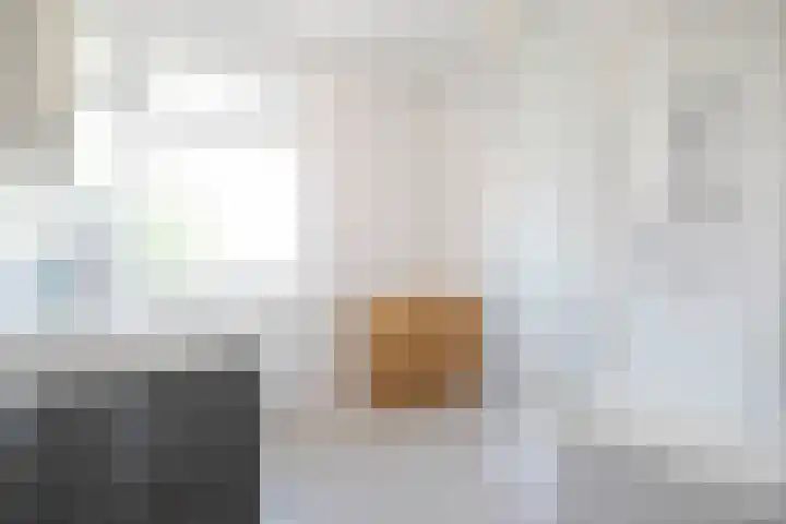 Rie Mastenbroekhof 12 Arnhem thumbnail 29