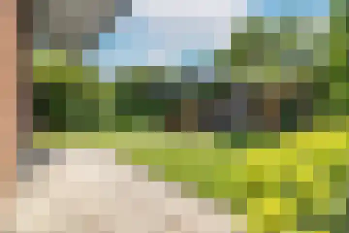 Rie Mastenbroekhof 12 Arnhem thumbnail 45