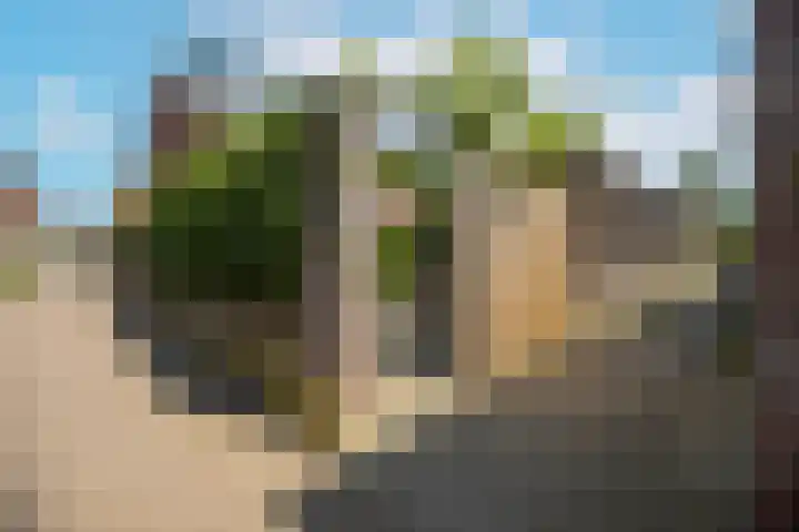 Rie Mastenbroekhof 12 Arnhem thumbnail 48
