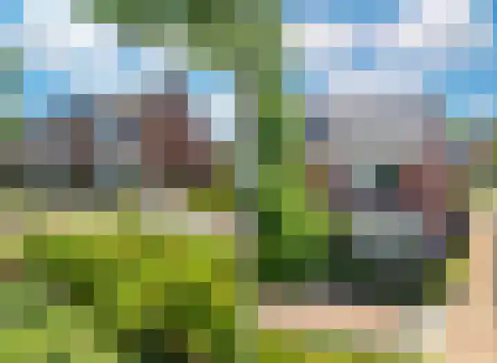 Rie Mastenbroekhof 12 Arnhem thumbnail 49
