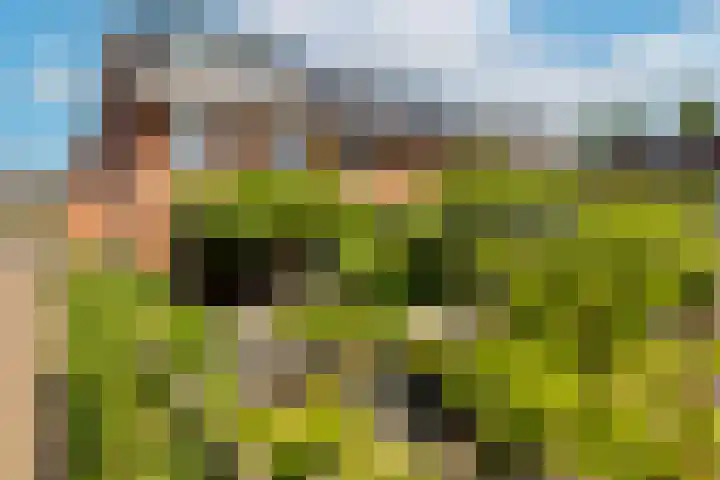 Rie Mastenbroekhof 12 Arnhem thumbnail 5