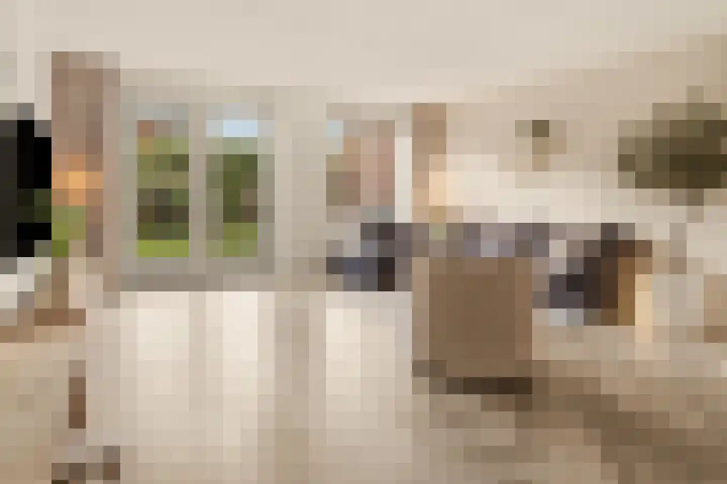 Rie Mastenbroekhof 19 Arnhem thumbnail 10