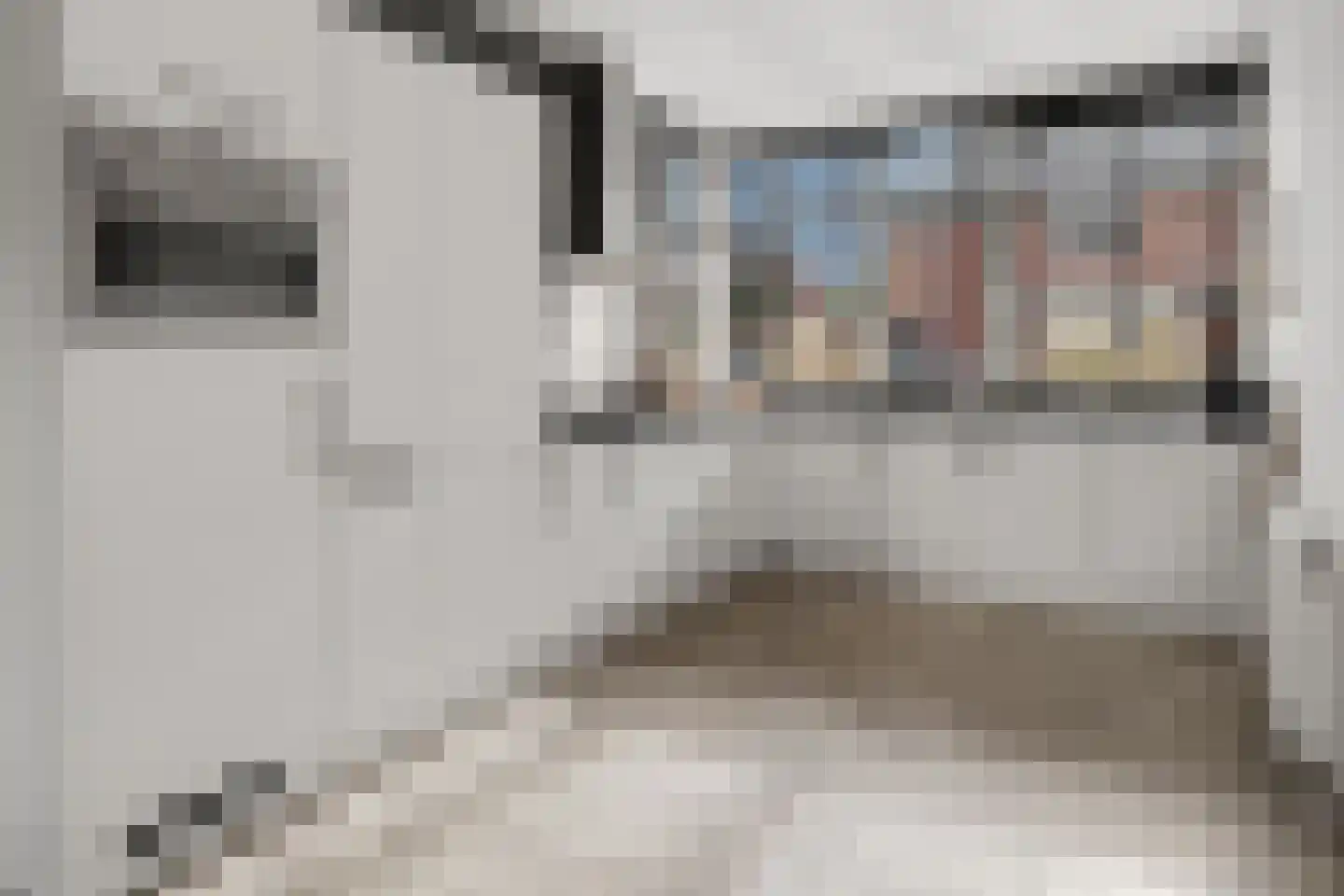 Rie Mastenbroekhof 19 Arnhem thumbnail 14
