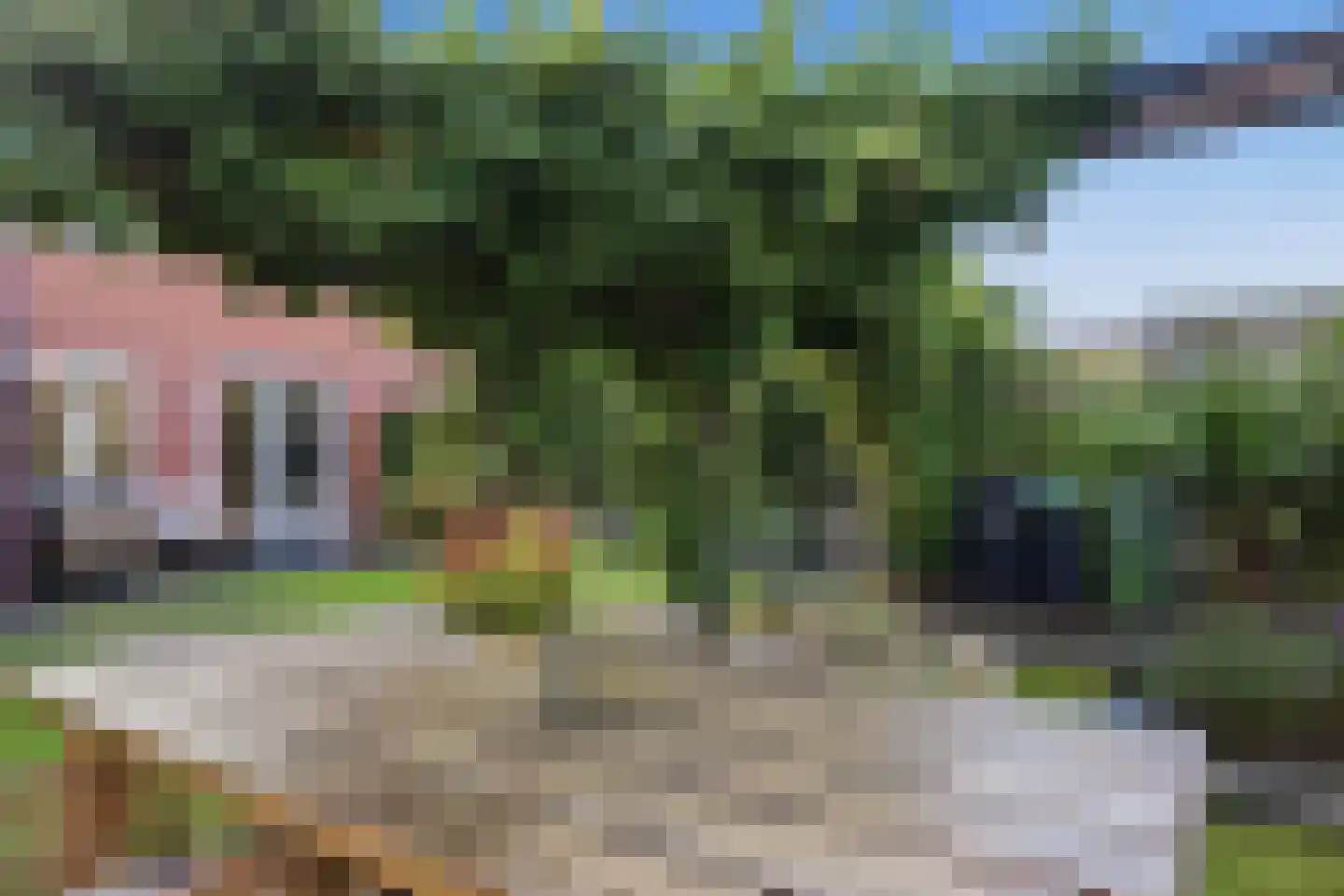 Rie Mastenbroekhof 19 Arnhem thumbnail 21