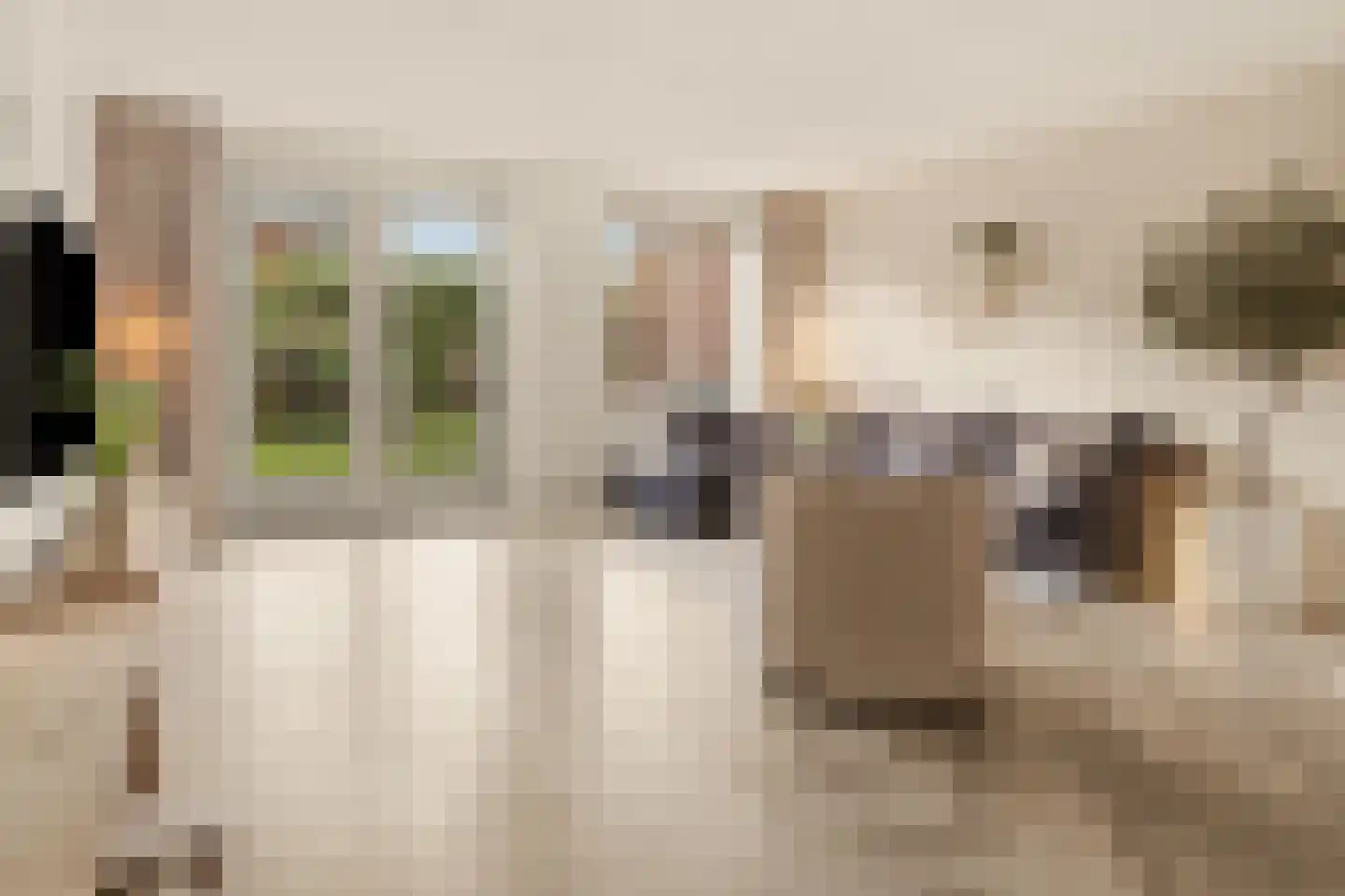 Rie Mastenbroekhof 19 Arnhem thumbnail 4