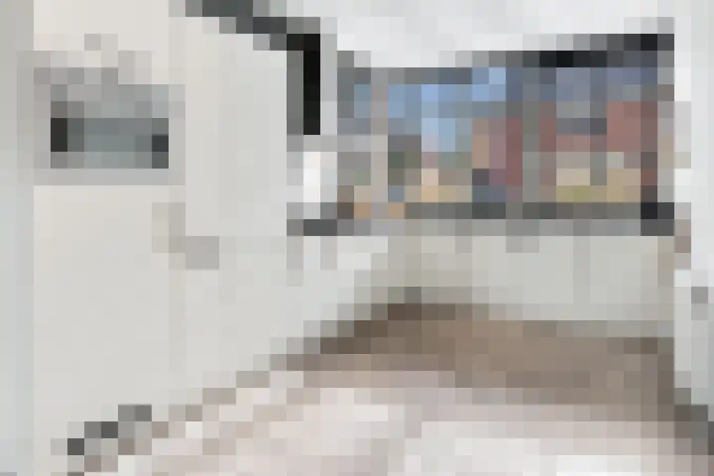 Rie Mastenbroekhof 19 Arnhem thumbnail 5