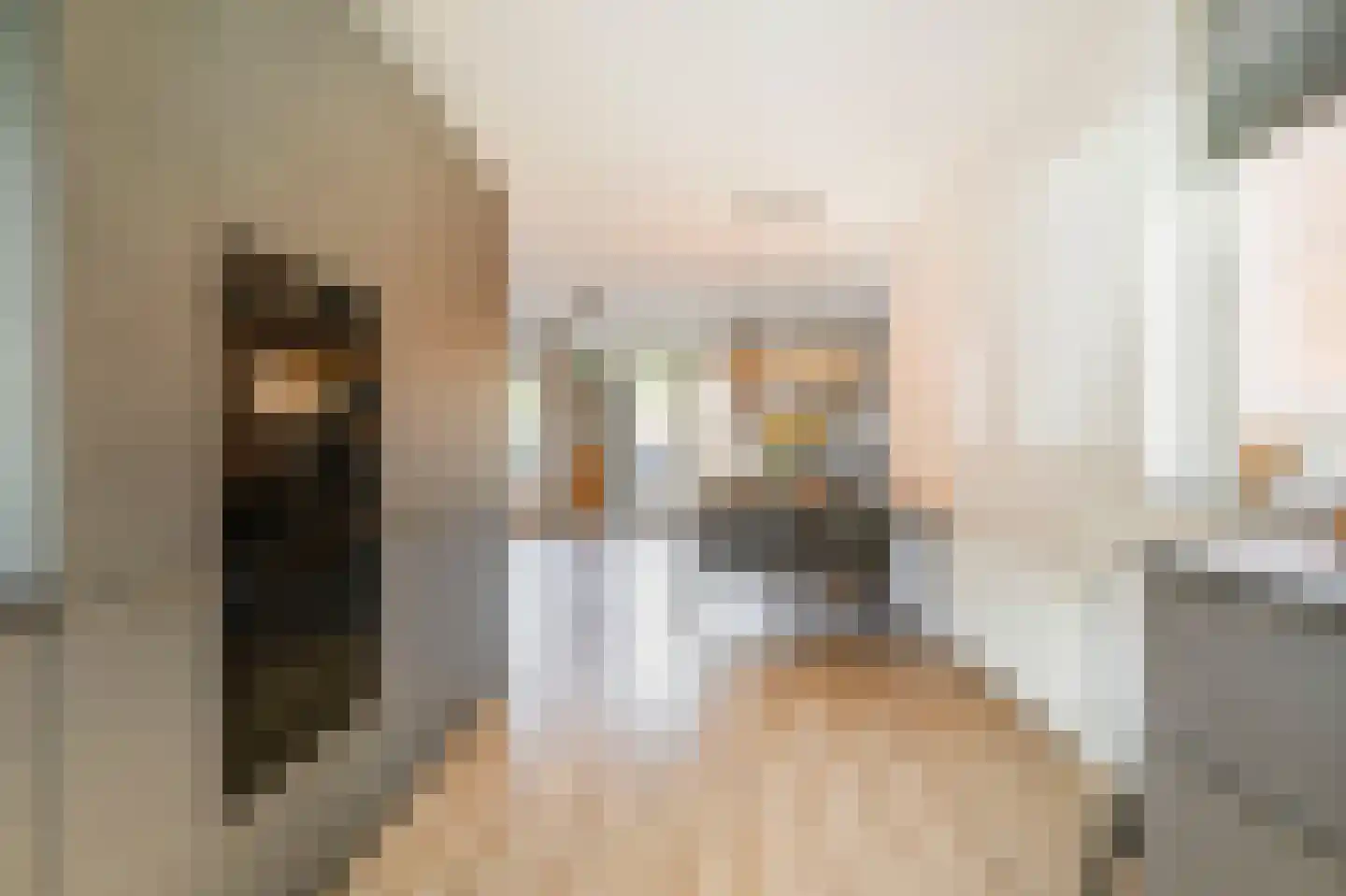 Rie Mastenbroekhof 9 Arnhem thumbnail 13