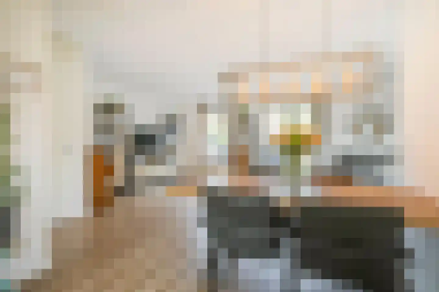 Rie Mastenbroekhof 9 Arnhem thumbnail 14