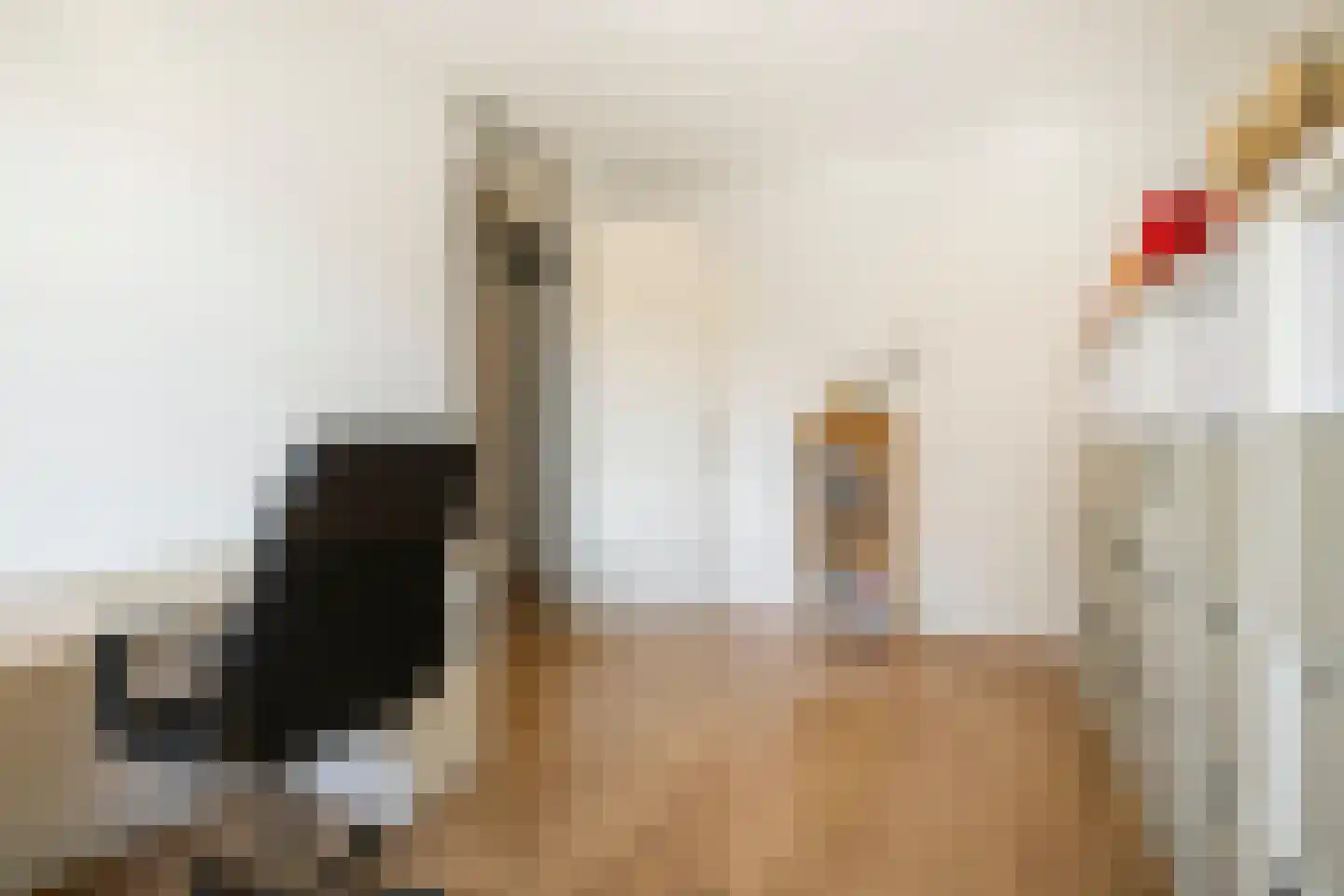 Rie Mastenbroekhof 9 Arnhem thumbnail 23