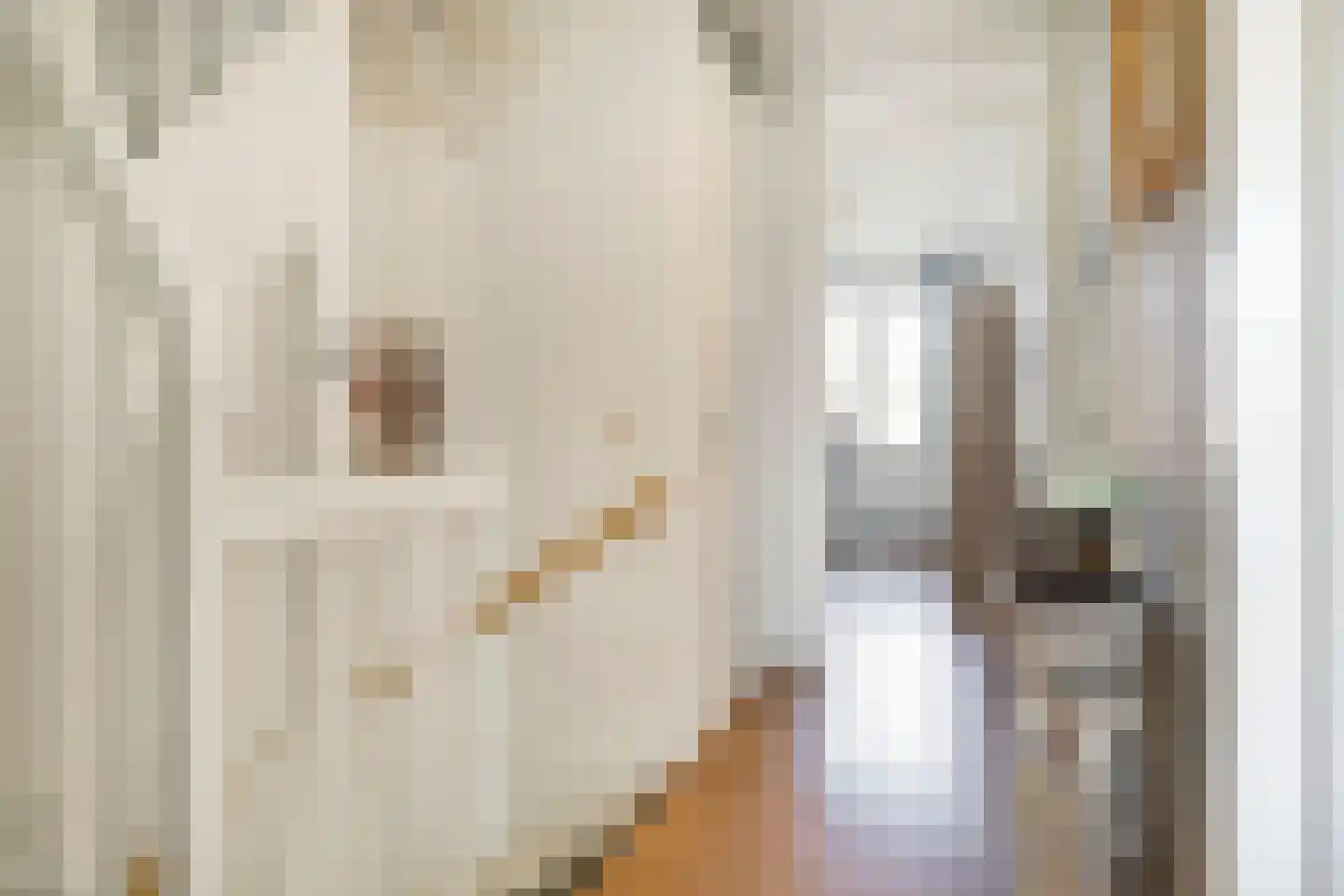 Rie Mastenbroekhof 9 Arnhem thumbnail 27