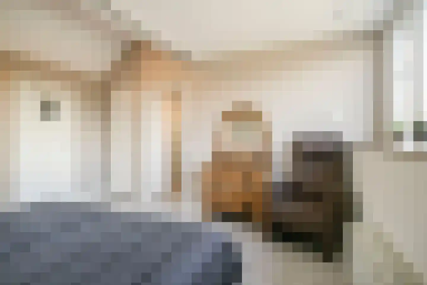Rie Mastenbroekhof 9 Arnhem thumbnail 31