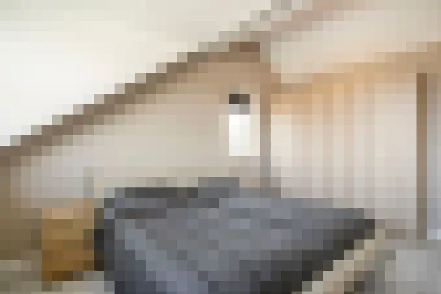 Rie Mastenbroekhof 9 Arnhem thumbnail 32