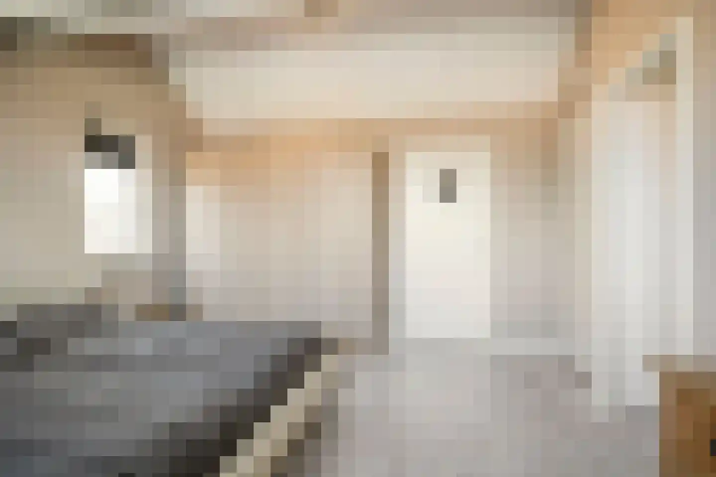 Rie Mastenbroekhof 9 Arnhem thumbnail 34