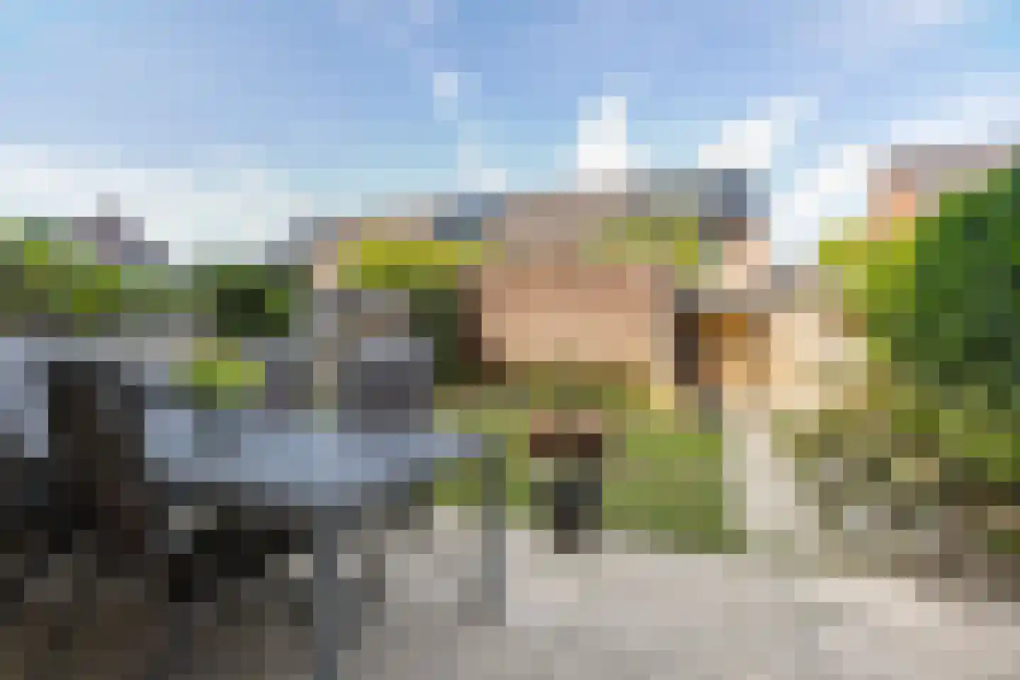 Rie Mastenbroekhof 9 Arnhem thumbnail 37