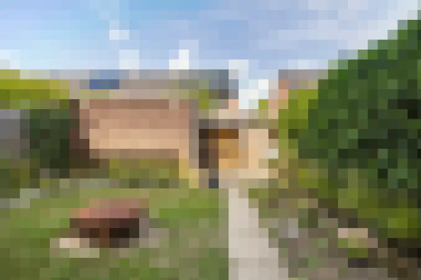 Rie Mastenbroekhof 9 Arnhem thumbnail 38