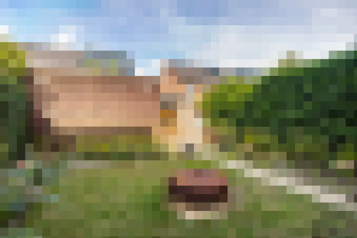 Rie Mastenbroekhof 9 Arnhem thumbnail 39