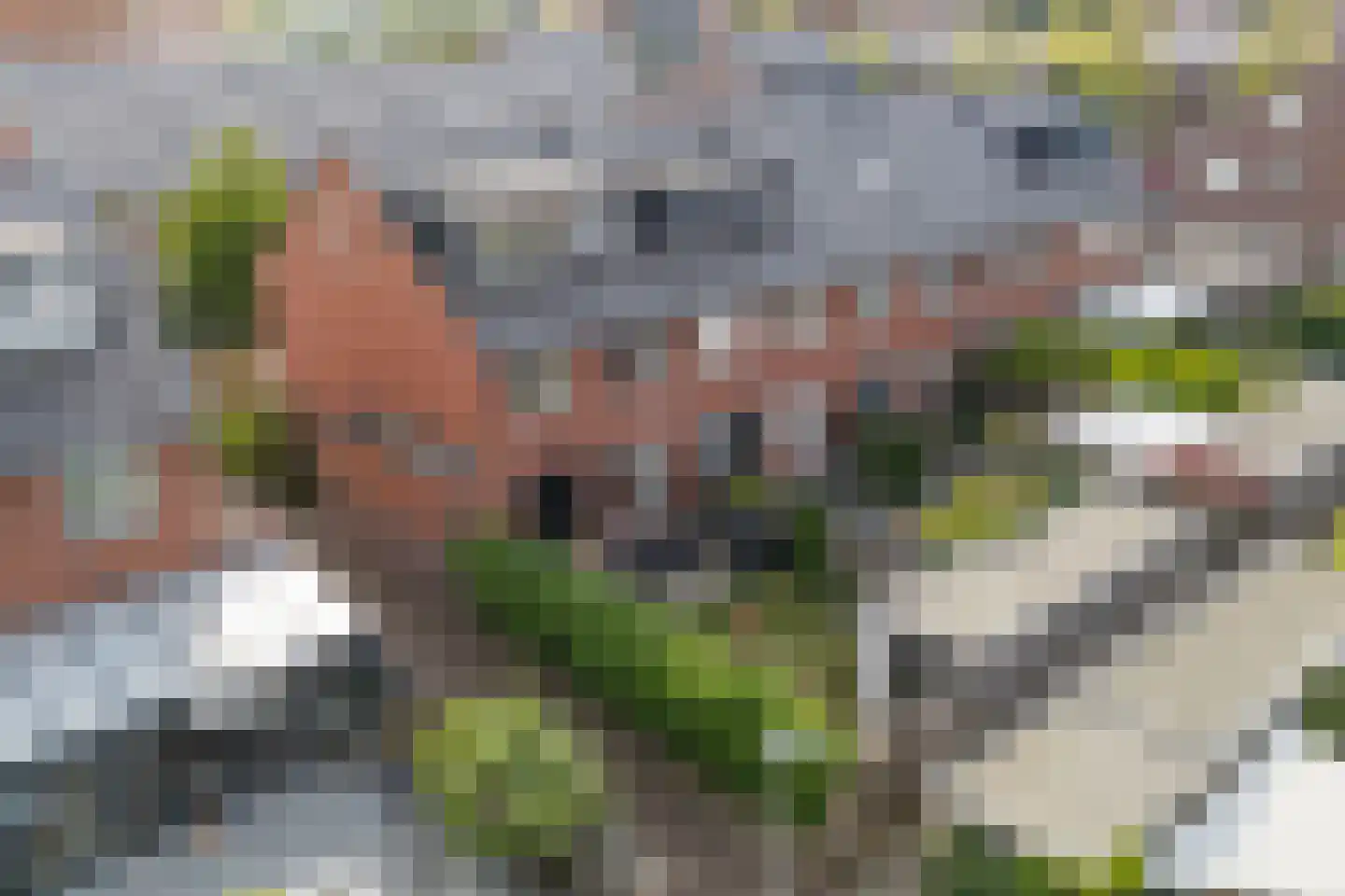 Rie Mastenbroekhof 9 Arnhem thumbnail 48