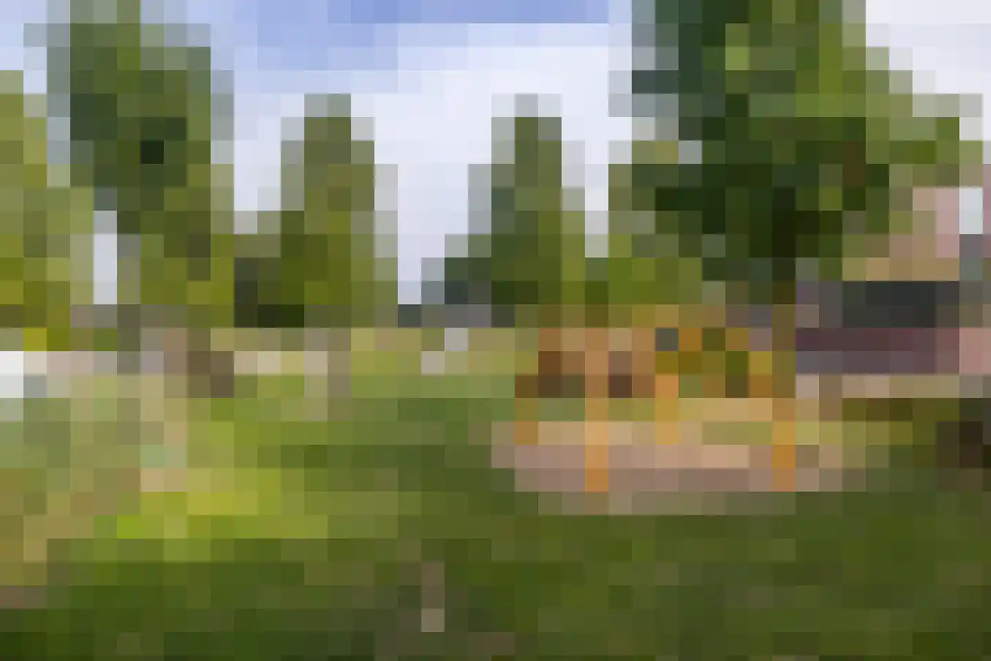 Rie Mastenbroekhof 9 Arnhem thumbnail 49