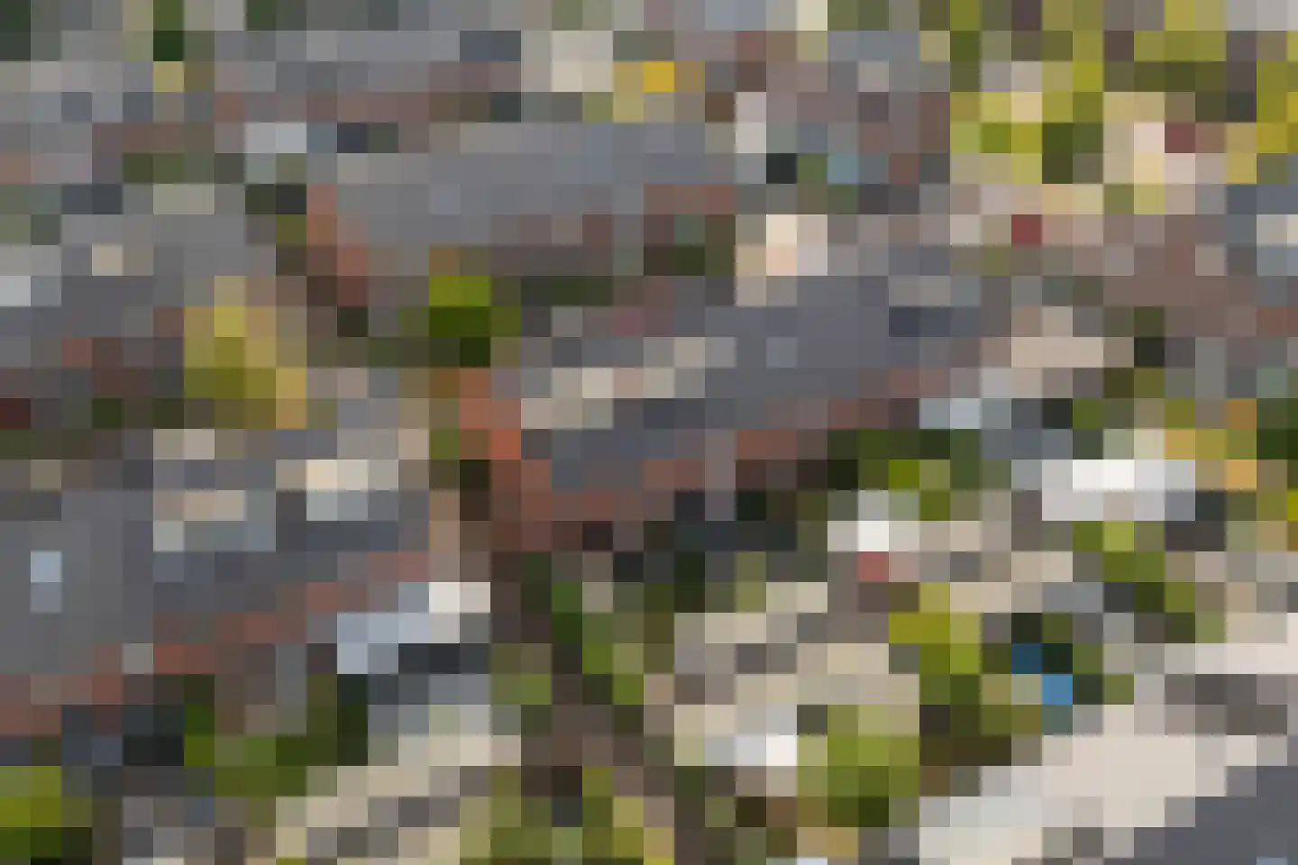 Rie Mastenbroekhof 9 Arnhem thumbnail 52