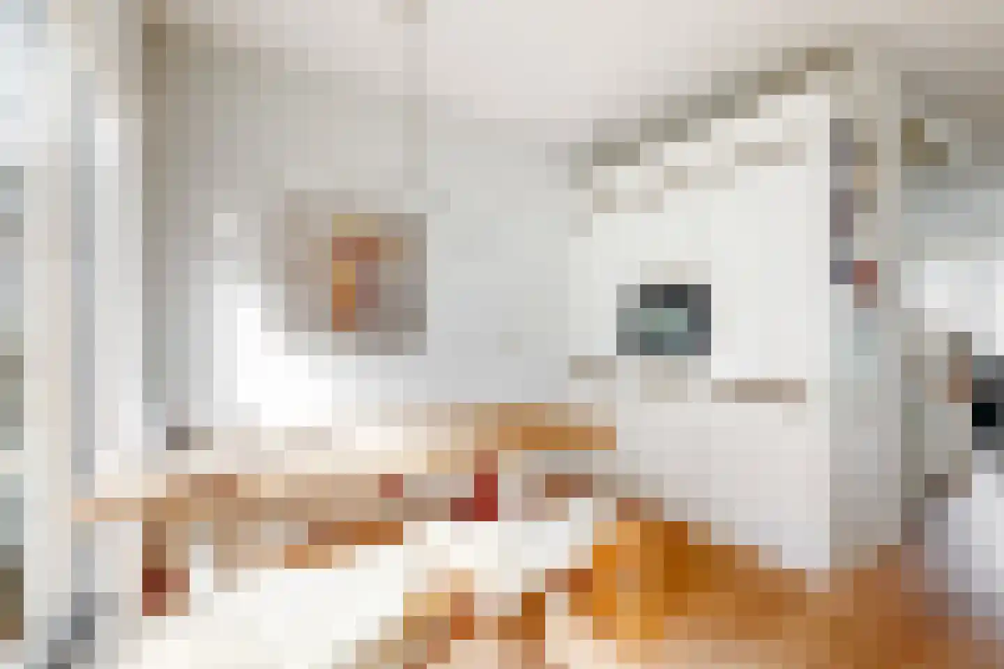 Rie Mastenbroekstraat 14 Haarlem thumbnail 18