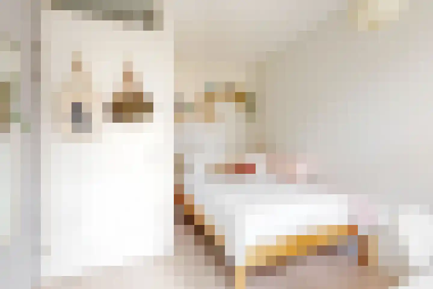 Rie Mastenbroekstraat 14 Haarlem thumbnail 33