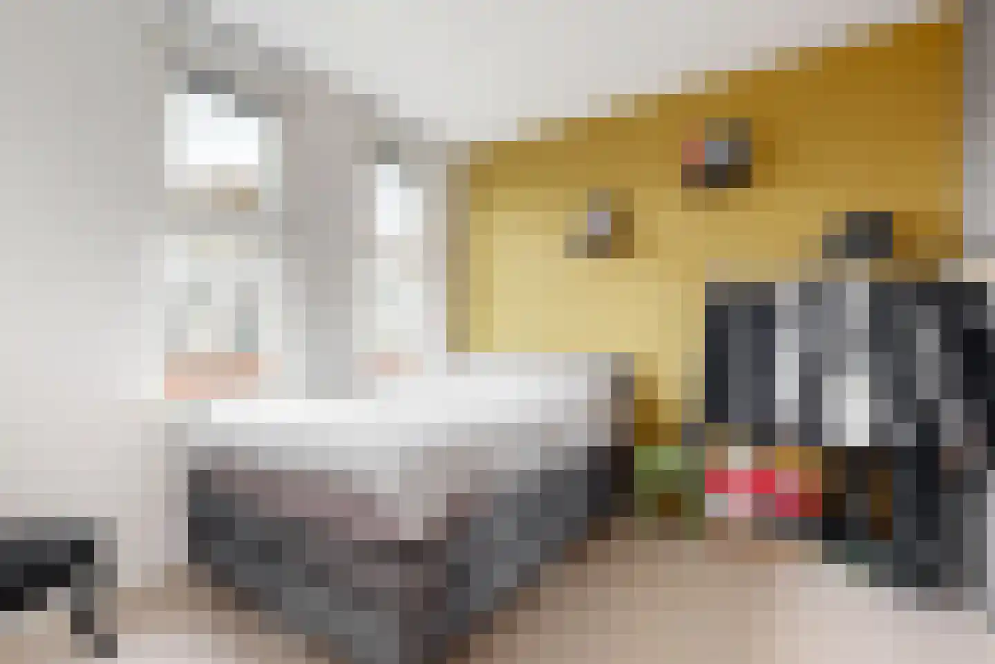 Rie Mastenbroekstraat 14 Haarlem thumbnail 36