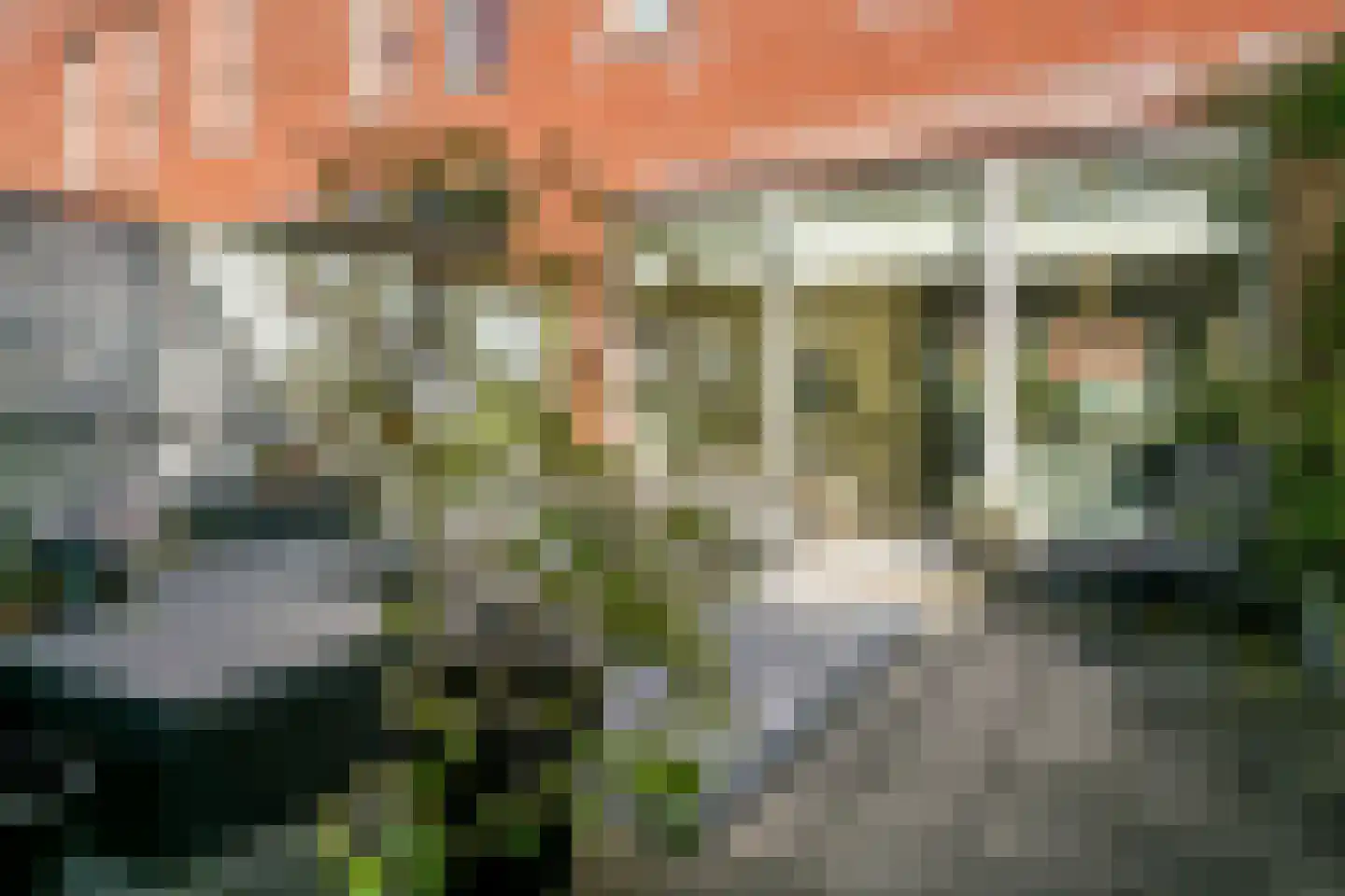 Rie Mastenbroekstraat 14 Haarlem thumbnail 4