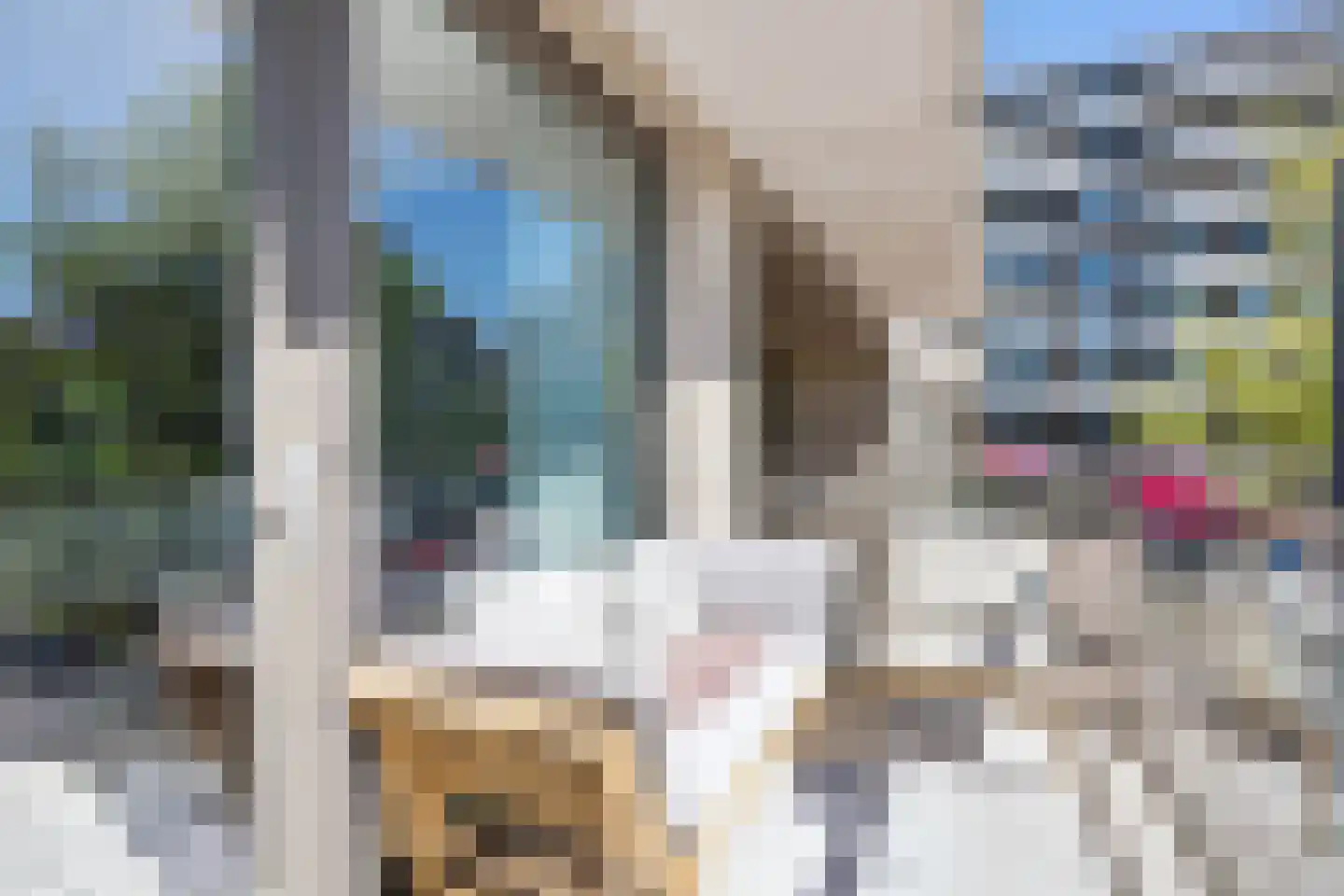Rie Mastenbroekstraat 17 Amsterdam thumbnail 13