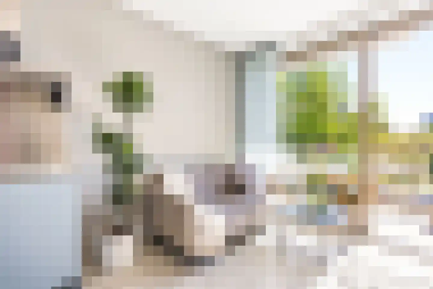 Rie Mastenbroekstraat 17 Amsterdam thumbnail 17