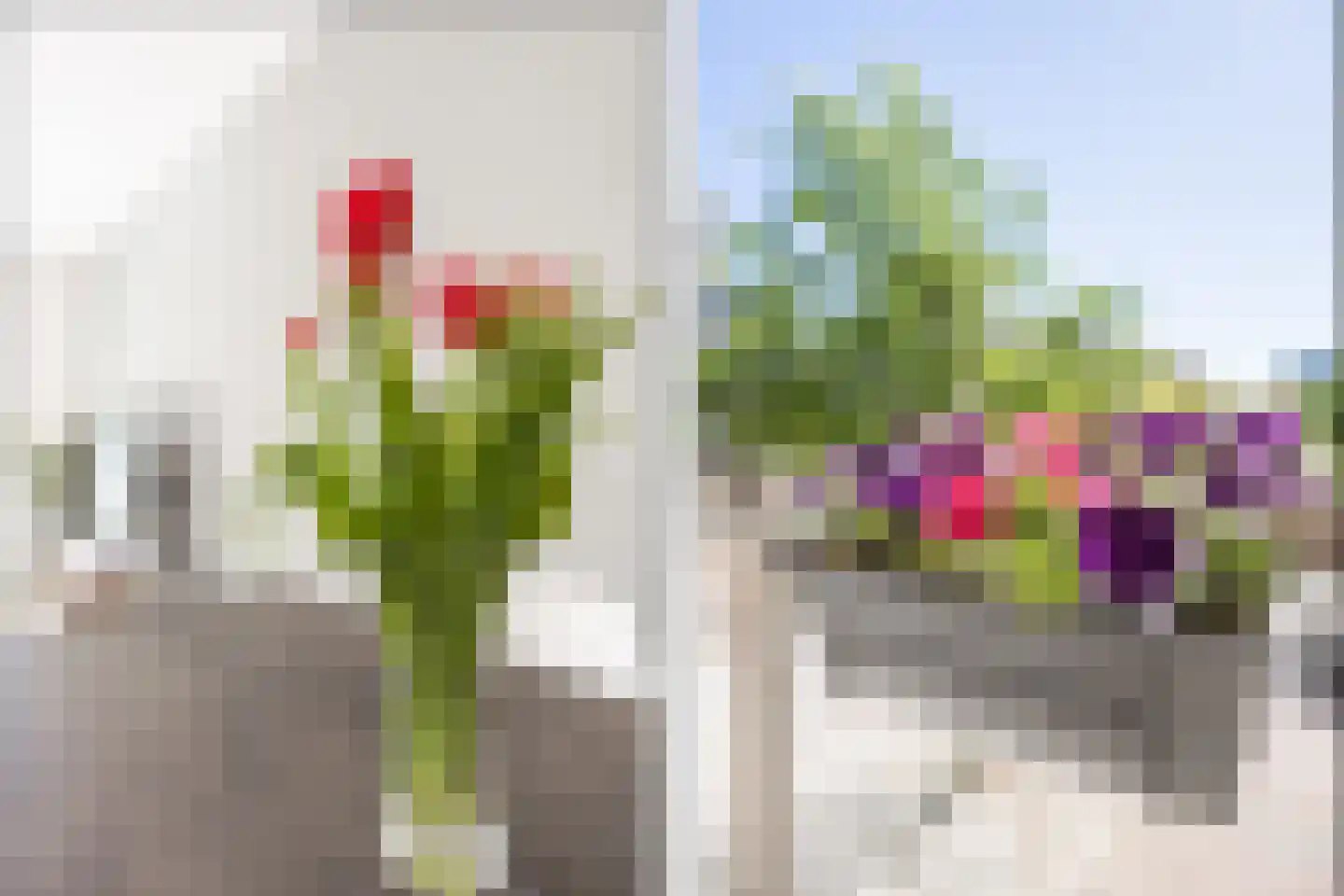Rie Mastenbroekstraat 17 Amsterdam thumbnail 19