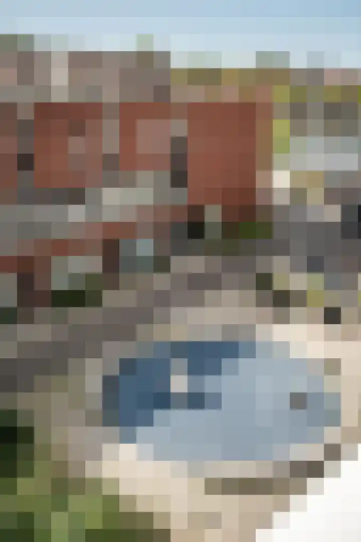 Rie Mastenbroekstraat 5 Haarlem thumbnail 32
