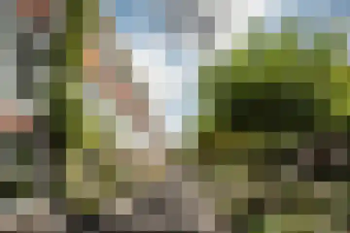 Rie Mastenbroekstraat 5 Haarlem thumbnail 33