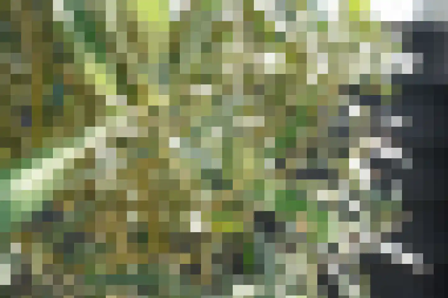 Rie Staalstraat 28 Putten thumbnail 24