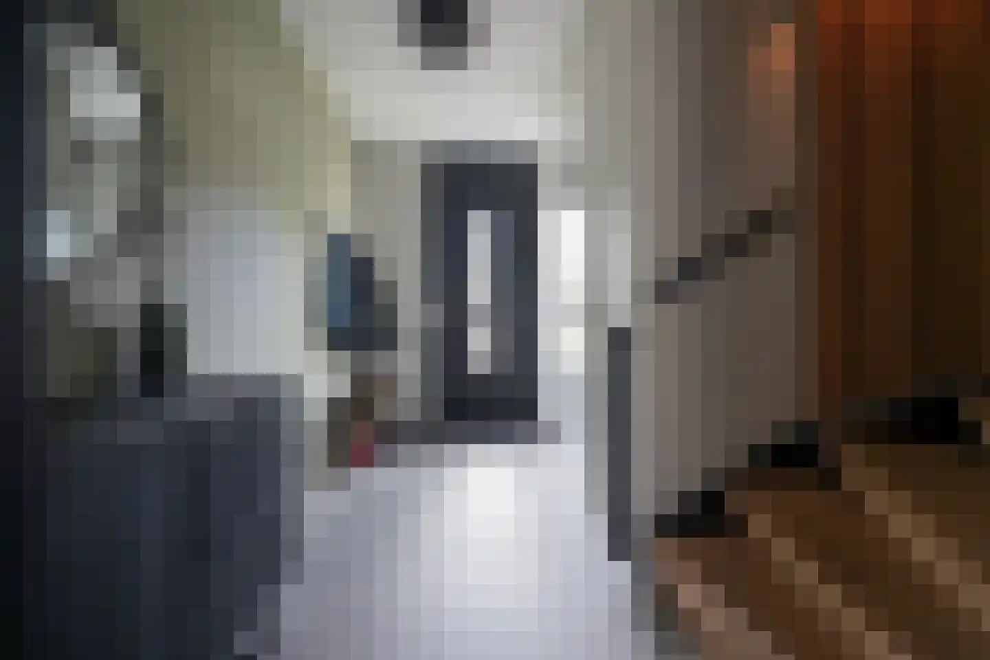 Rie Staalstraat 28 Putten thumbnail 6