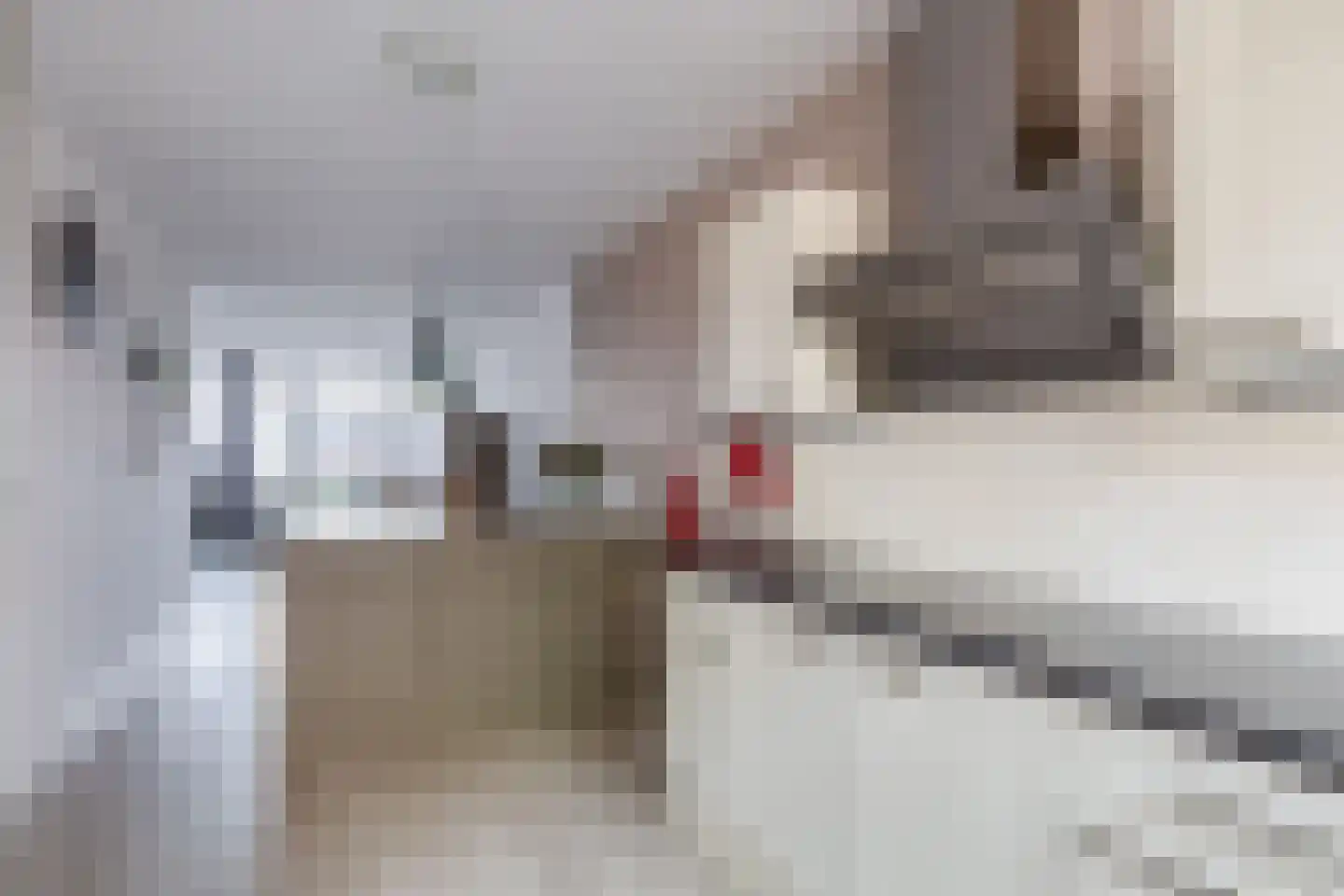 Riebeekstraat 12 B Rotterdam thumbnail 17
