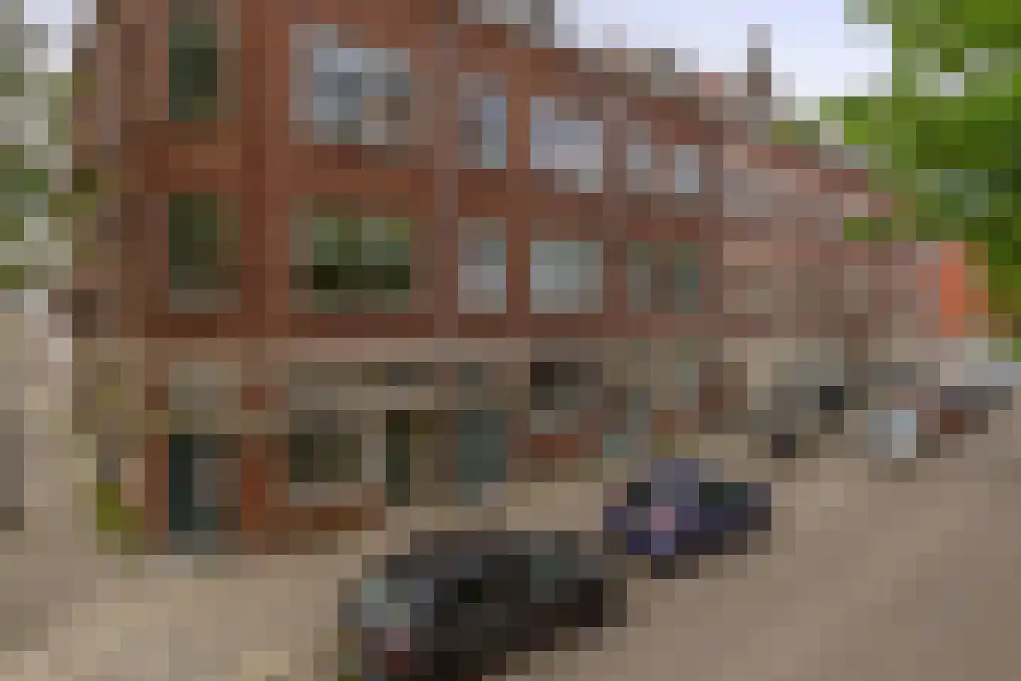 Riebeekstraat 12 B Rotterdam thumbnail 34