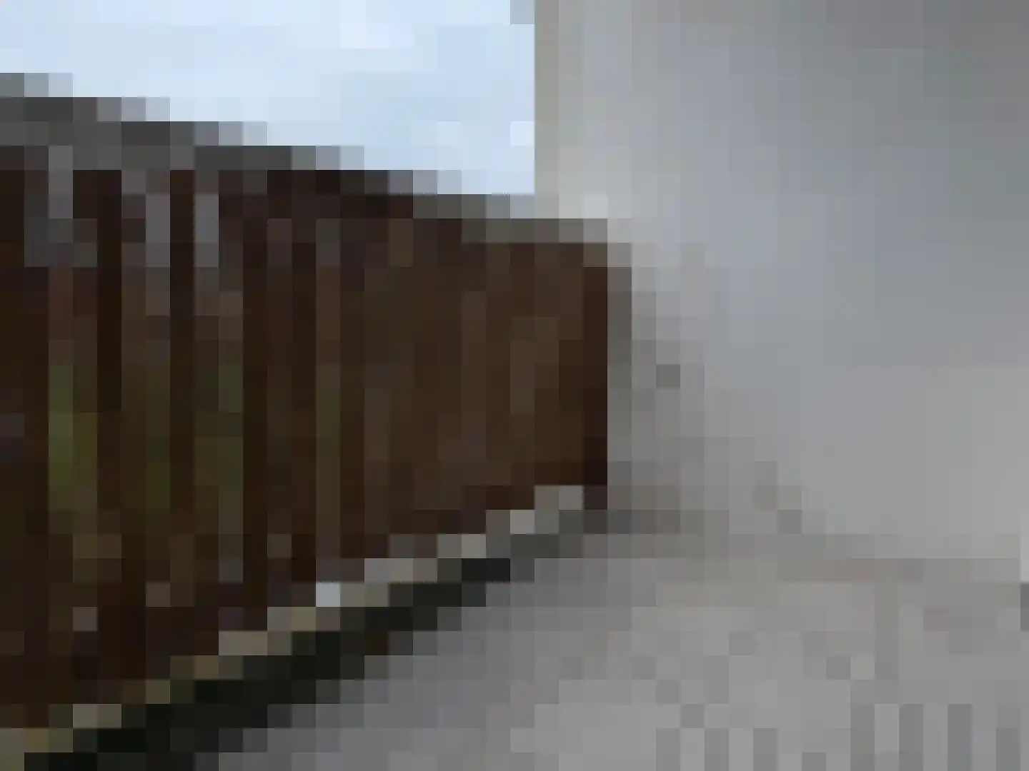 Riebeekstraat 14 B Rotterdam thumbnail 24