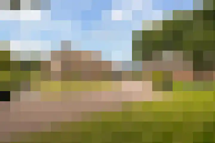 Riebroekseweg 32 Ermelo thumbnail 4