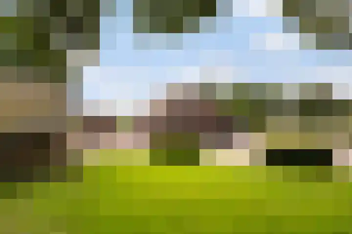 Riebroekseweg 32 Ermelo thumbnail 49