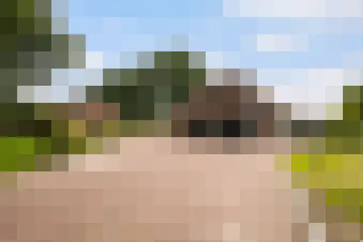 Riebroekseweg 32 Ermelo thumbnail 5